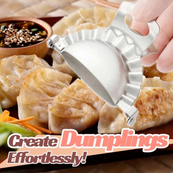 Stainless Instant Dumpling Mold (Mold + Roller) - Pinkyshop