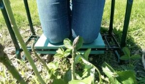 Garden Kneeler And Seat photo review